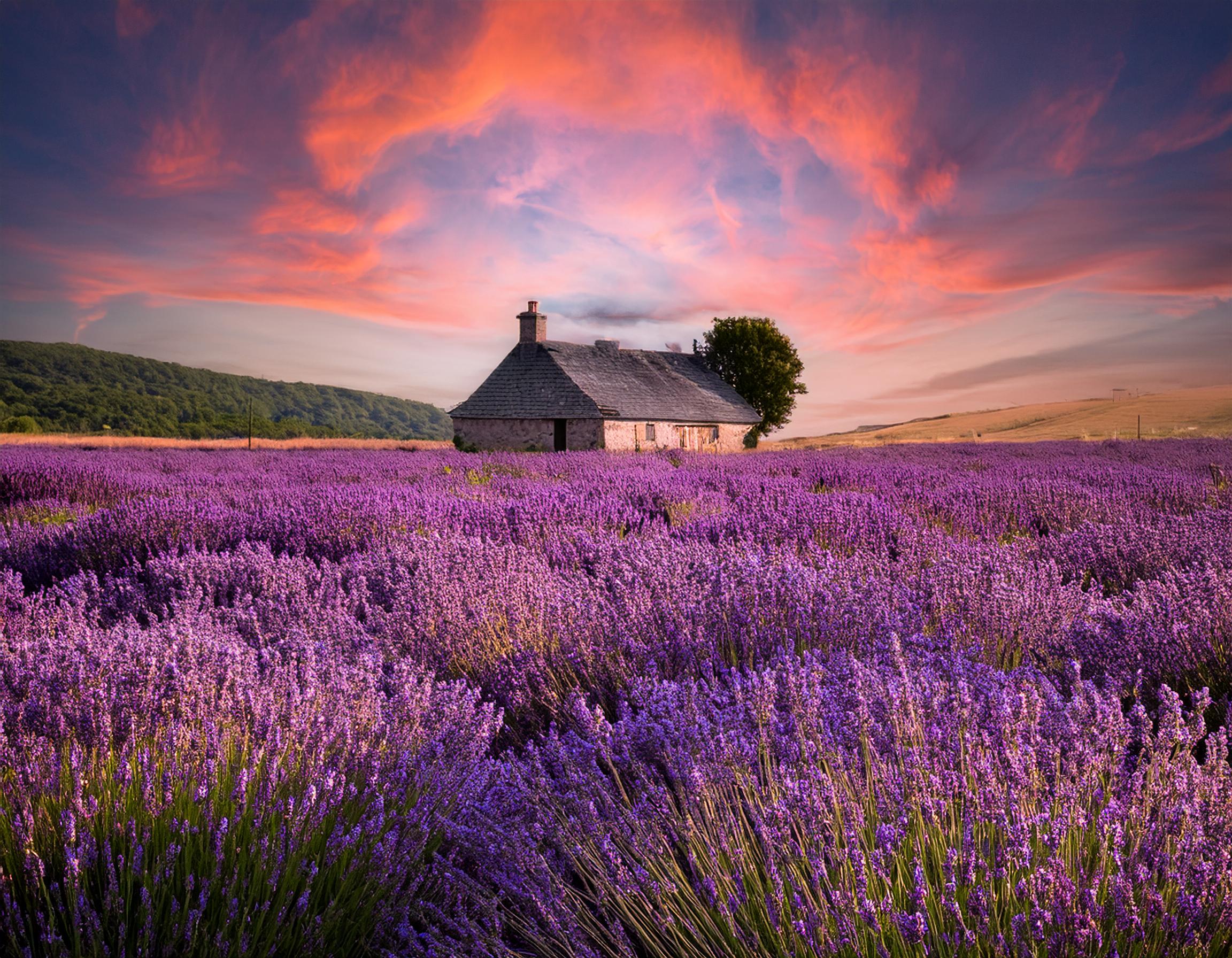 Hauspflege, Gartenservice, Reinigungsunternehmen