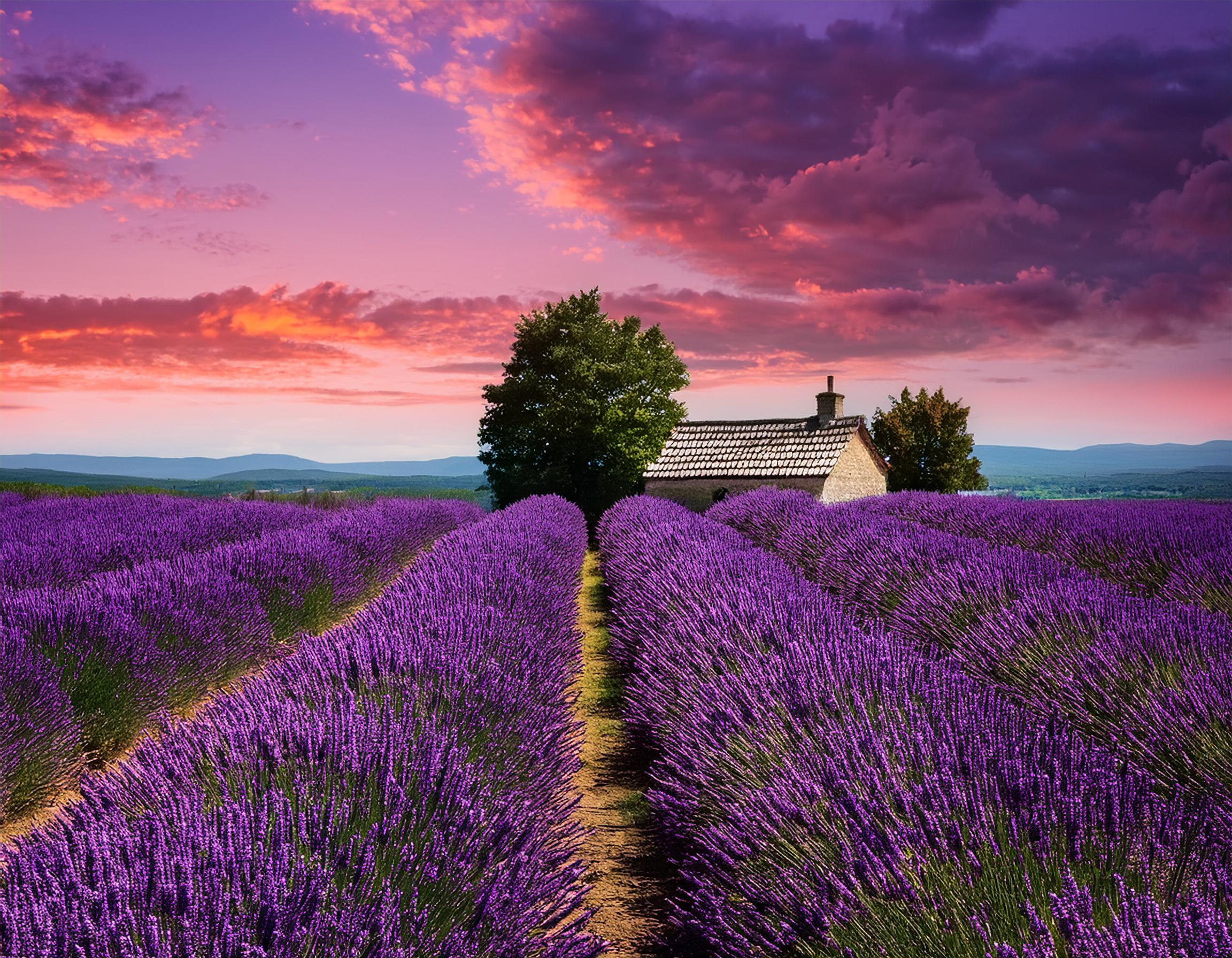 Eco-friendly home and garden maintenance